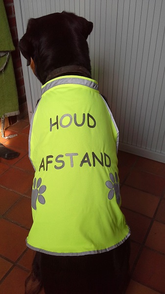 Gele Hond Signaleringsvest - maat L